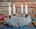 Bild in Galerie-Betrachter laden, Weihnachtskranz "Silberner Asparagus"