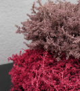 Bild in Galerie-Betrachter laden, Kranz in Pastell Pink aus Asparagus Türkranz Wandkranz 35 oder 45 cm