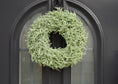 Bild in Galerie-Betrachter laden, Kranz in Pastell Hellgrün aus Asparagus Türkranz Wandkranz 35 oder 45 cm