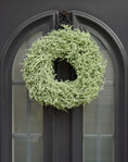 Bild in Galerie-Betrachter laden, Kranz in Pastell Hellgrün aus Asparagus Türkranz Wandkranz 35 oder 45 cm