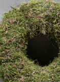 Bild in Galerie-Betrachter laden, Mooskranz Natur – 30 oder 45 cm | Handgefertigte Kranzbasis aus echtem Waldmoos
