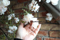 Bild in Galerie-Betrachter laden, künstlicher Blütenzweig 99 cm Kirschblüte, Apfelblüte, Pflaumenblüte dekorativer Pflanzenstiel, minimalistischer Stil, künstliche Pflanze