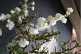 Bild in Galerie-Betrachter laden, künstlicher Blütenzweig 85 cm Kirschblüte, Apfelblüte dekorativer Pflanzenstiel, minimalistischer Stil, künstliche Pflanze