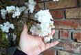 Bild in Galerie-Betrachter laden, künstlicher Großer Blütenzweig 126 cm Kirschblüte, Apfelblüte, Pflaumenblüte dekorativer Pflanzenstiel, künstliche Pflanze