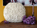 Bild in Galerie-Betrachter laden, XL Vase PHYLIA | 3D Vase | Flache Vase | Dekovase | Blumenvase Groß Creme