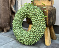 Bild in Galerie-Betrachter laden, Shabby-Grün Kranz / Türkranz / Wandkranz mit Coco-Früchten 40 oder 55 cm Durchmesser