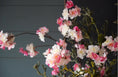 Bild in Galerie-Betrachter laden, künstlicher Blütenzweig 99cm Kirschblüte, Apfelblüte, Pflaumenblüte dekorativer Pflanzenstiel, minimalistischer Stil, künstliche Pflanze