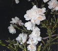 Bild in Galerie-Betrachter laden, künstlicher Blütenzweig 99 cm Kirschblüte, Apfelblüte, Pflaumenblüte dekorativer Pflanzenstiel, minimalistischer Stil, künstliche Pflanze