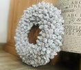 Bild in Galerie-Betrachter laden, Shabby-weißer Kranz / Türkranz / Wandkranz mit Coco-Früchten 40 cm Durchmesser