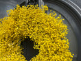 Bild in Galerie-Betrachter laden, Schleierkraut Kranz in Gelb, für Tür und Wand ca. 30 cm Durchmesser
