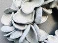 Bild in Galerie-Betrachter laden, Wandkranz aus großen Kapseln 55 cm Durchmesser, Farbe Weiß