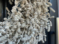 Bild in Galerie-Betrachter laden, Lavendel Kranz in weiß, für Tür und Wand ca. 38 cm Durchmesser