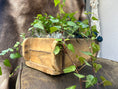 Bild in Galerie-Betrachter laden, Eine bezaubernde Holzkiste für Ihren Garten: Ein charmantes Highlight