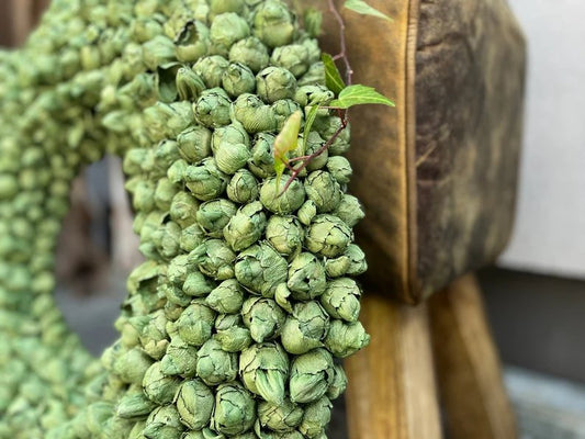 Shabby-Grün Kranz / Türkranz / Wandkranz mit Coco-Früchten 40 oder 55 cm Durchmesser