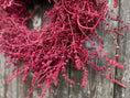 Bild in Galerie-Betrachter laden, Lavendel Kranz in Deep Red, für Tür und Wand ca. 35 cm Durchmesser