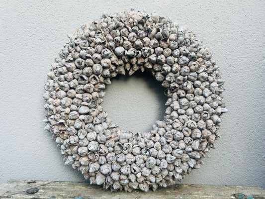 Indoor-Wandkranz aus Kapselsamen 55 cm Durchmesser, Farbe Natur Kranzshop