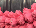 Bild in Galerie-Betrachter laden, Türkranz: Handgefertigtes 45 cm Pastell apricot Dekor für Zuhause, Hochzeit oder Geschenk