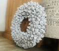 Bild in Galerie-Betrachter laden, Shabby-weißer Kranz / Türkranz / Wandkranz mit Coco-Früchten 40 cm Durchmesser