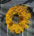 Bild in Galerie-Betrachter laden, Schleierkraut Kranz in Gelb, für Tür und Wand ca. 30 cm Durchmesser