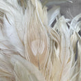 Bild in Galerie-Betrachter laden, Kranz aus echten Pfauenfedern – Natur oder gebleicht | Federnkranz 55 cm | Boho Wandkranz Türdeko Handarbeit | Deko Federschmuck