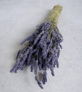 Bild in Galerie-Betrachter laden, Lavendel | Getrockneter Lavendelbund | 100% Naturprodukt | Intensiver Duft aus der Provence