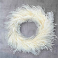Bild in Galerie-Betrachter laden, Pampasgras Kranz 60 cm – Boho Türkranz auf Metallring – Fluffiger Trockenblumenkranz in Creme XXL – Wanddeko Natur – Handgemacht