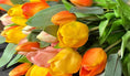 Bild in Galerie-Betrachter laden, Künstliche Tulpen im Bund (7 Stück) – Rosé, Gelb oder Orange – Real Touch Tulpen – Frühlingsdeko langlebig – Kunstblumen Strauß