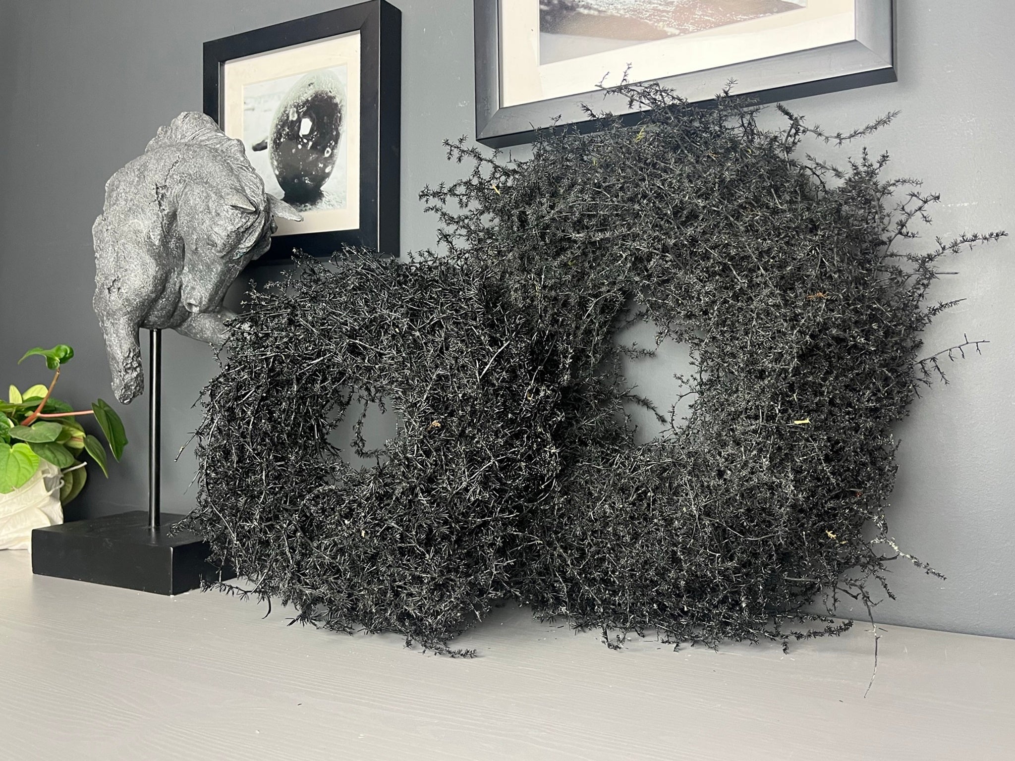 Schwarzer Asparagus-Kranz 28cm an weißer Wand