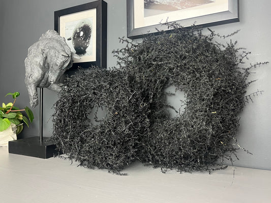 Schwarzer Asparagus-Kranz 28cm an weißer Wand