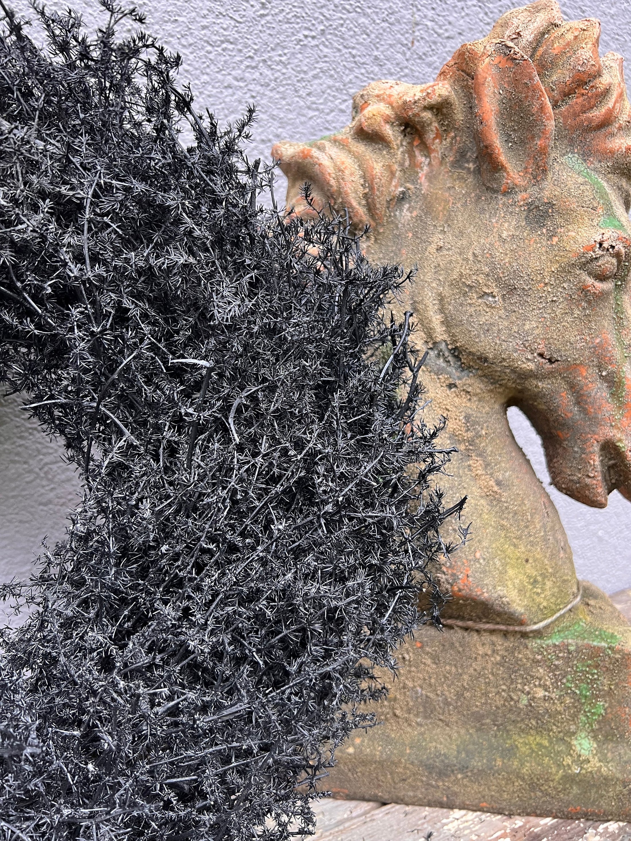 Schwarzer Asparagus-Kranz – 28, 35, 45 und 60 cm | Handgemachter Naturkranz für moderne Wanddeko