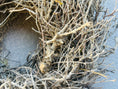 Bild in Galerie-Betrachter laden, Vintage Wild Bonsai-Kranz Türkranz Wandkranz