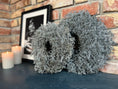 Bild in Galerie-Betrachter laden, Eleganter Wandkranz / Türkranz, grauer Asparagus-Kranz 28, 35 oder 45 cm Durchmesser - Kranzshop
