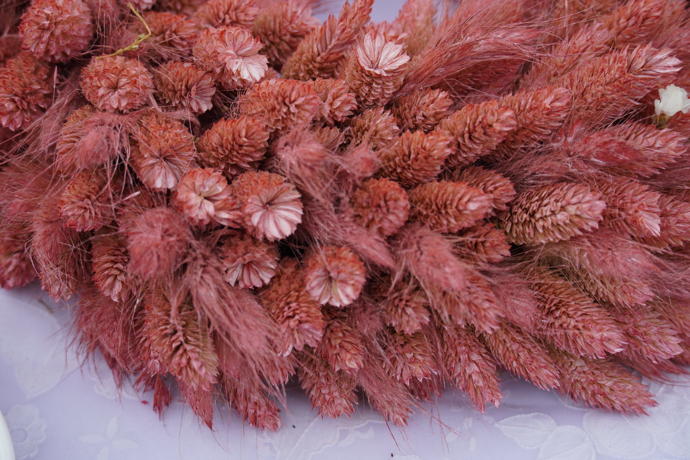 Trockenblumenkranz in Bordeaux-Rot | Handgebundener Tischkranz 28 cm | Boho-Deko & Geschenkidee