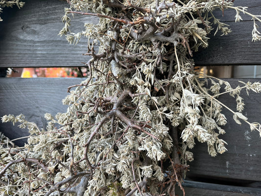 Kranz aus Lavendel und Bonsaiästen in ca. 60 cm cm Durchmesser