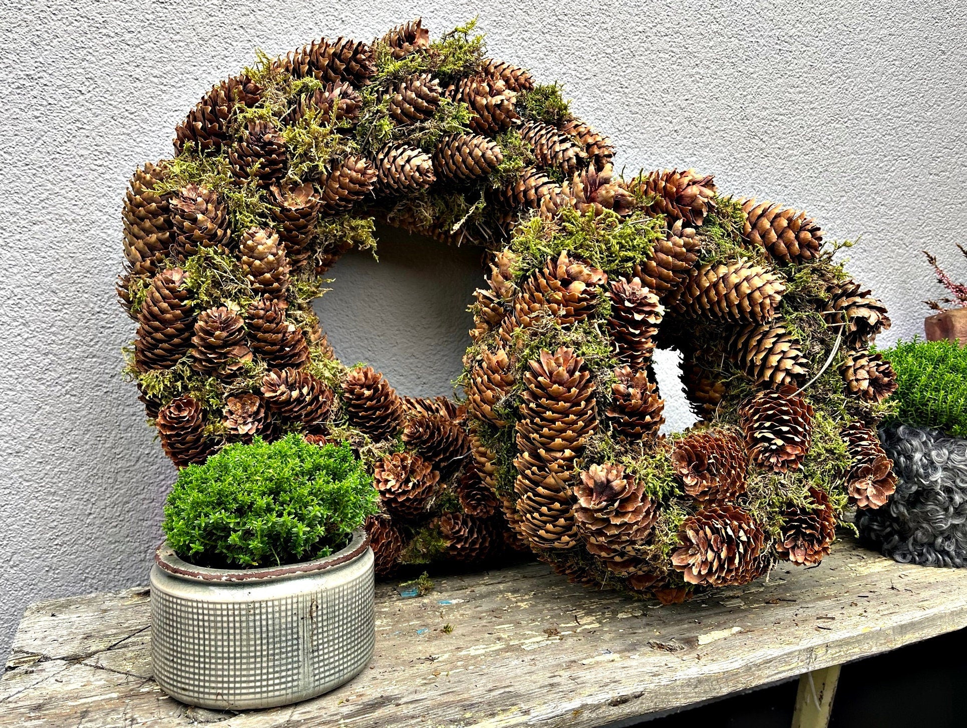 Dicker Kranz mit Tannenzapfen ca 30 und/oder 40 cm Durchmesser / Weihnachtskranz