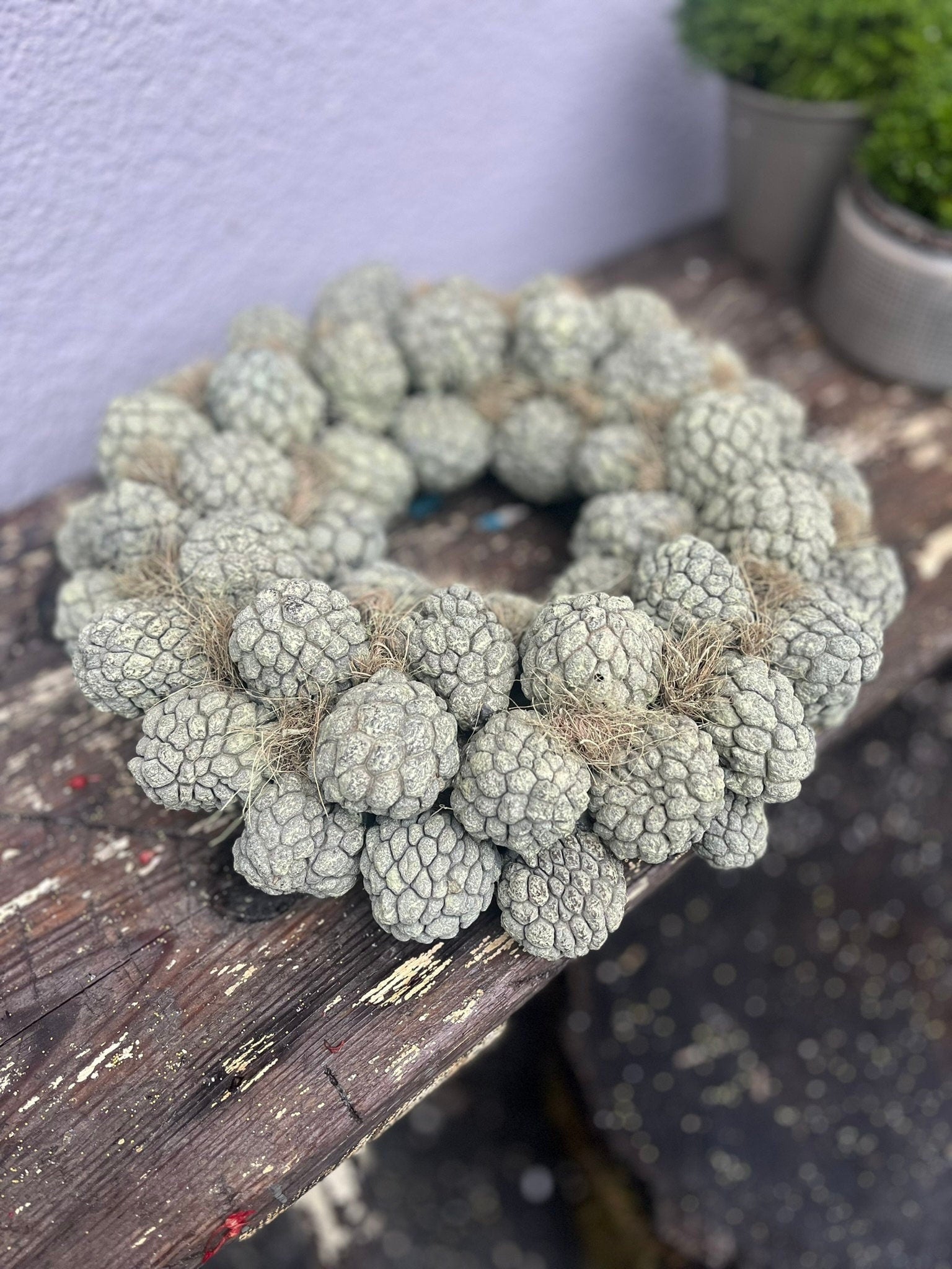 Natürlicher Dekokranz aus getrockneten Zuckerschoten • Boho Wanddeko • Trockenblumen Kranz • Nachhaltige, natürliche Home Decor