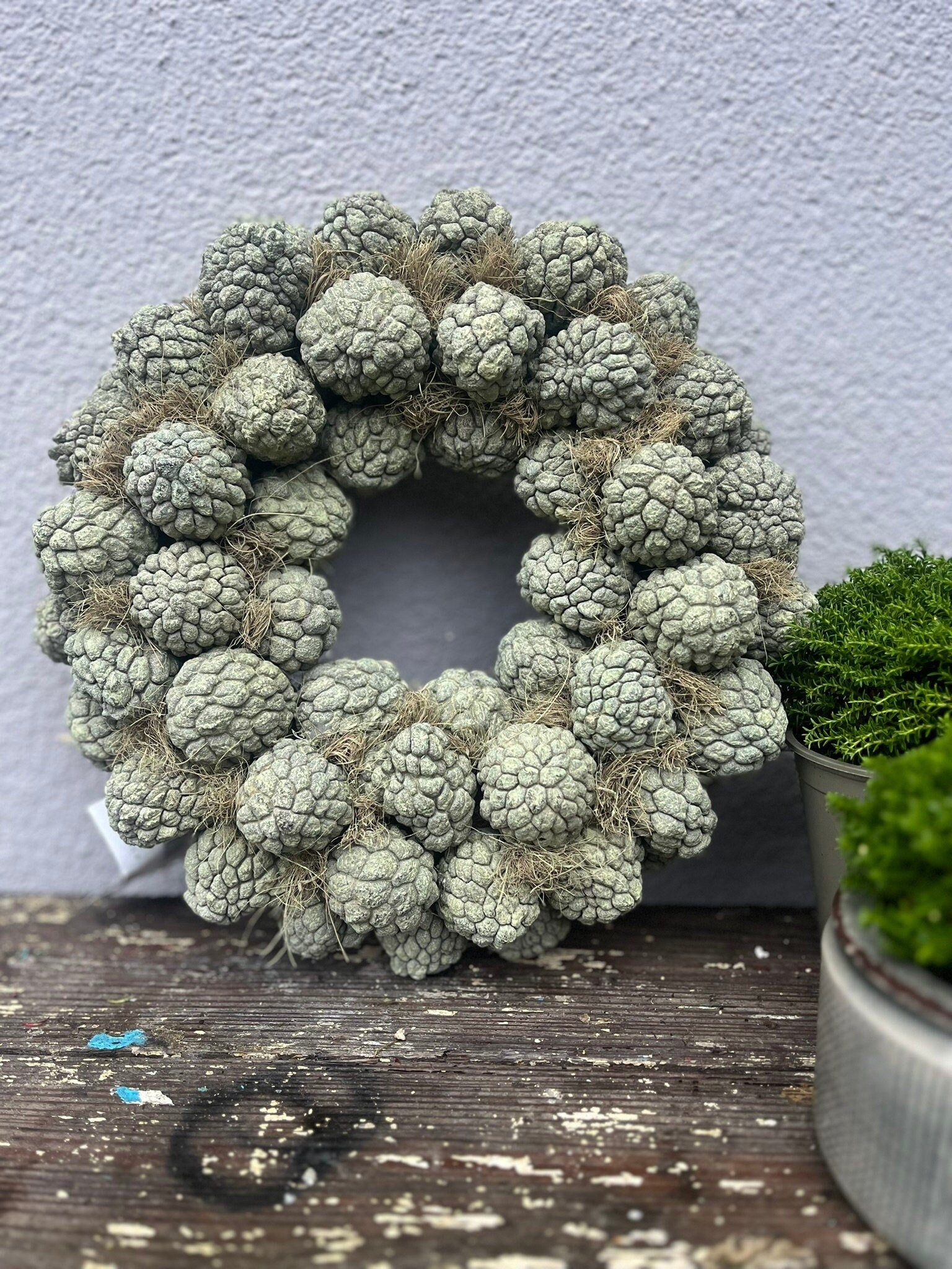 Natürlicher Dekokranz aus getrockneten Zuckerschoten • Boho Wanddeko • Trockenblumen Kranz • Nachhaltige, natürliche Home Decor