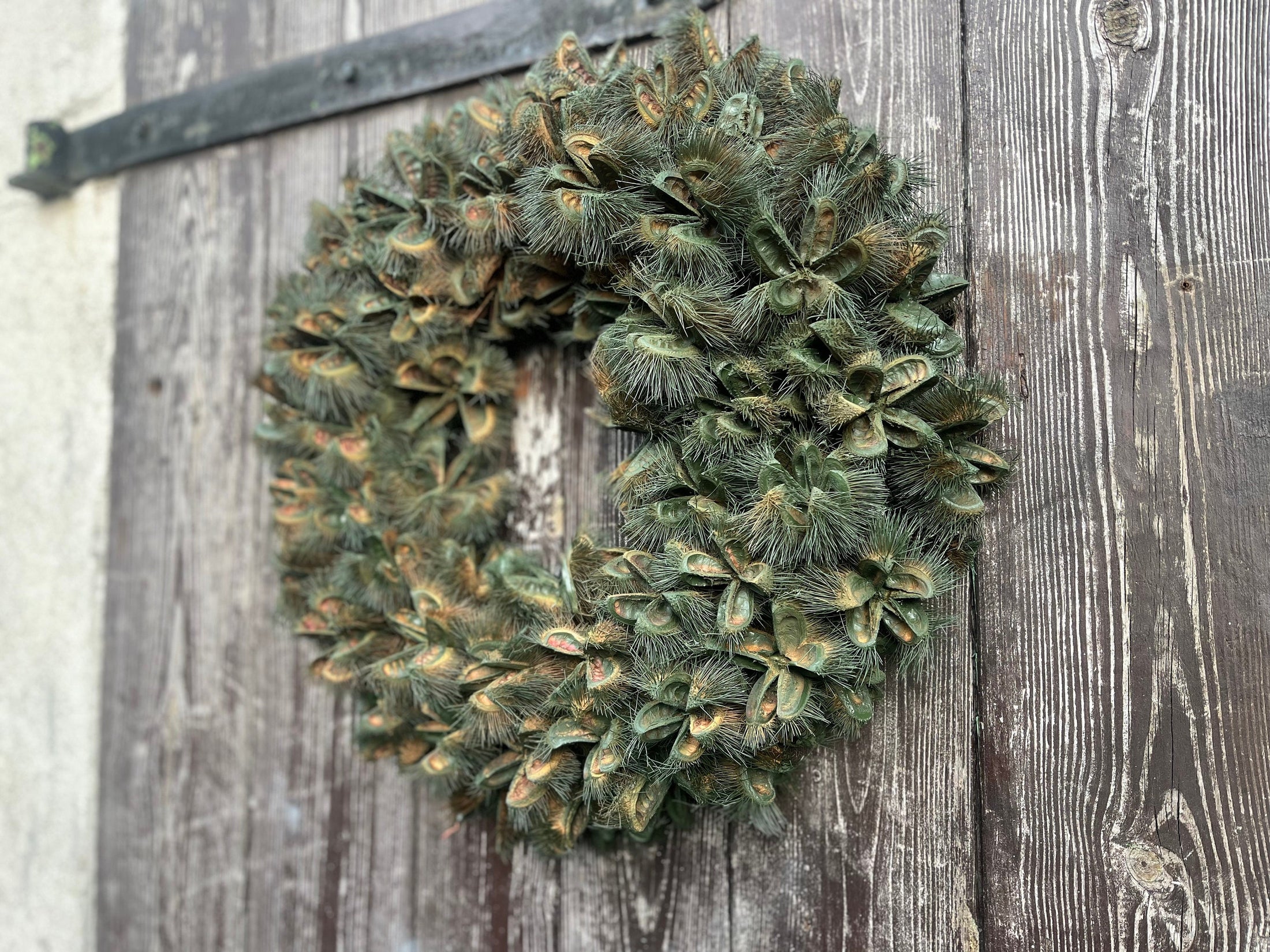 XL Wandkranz aus Esskastanienhüllen (55 cm Durchmesser, grün) Indoor & Outdoor