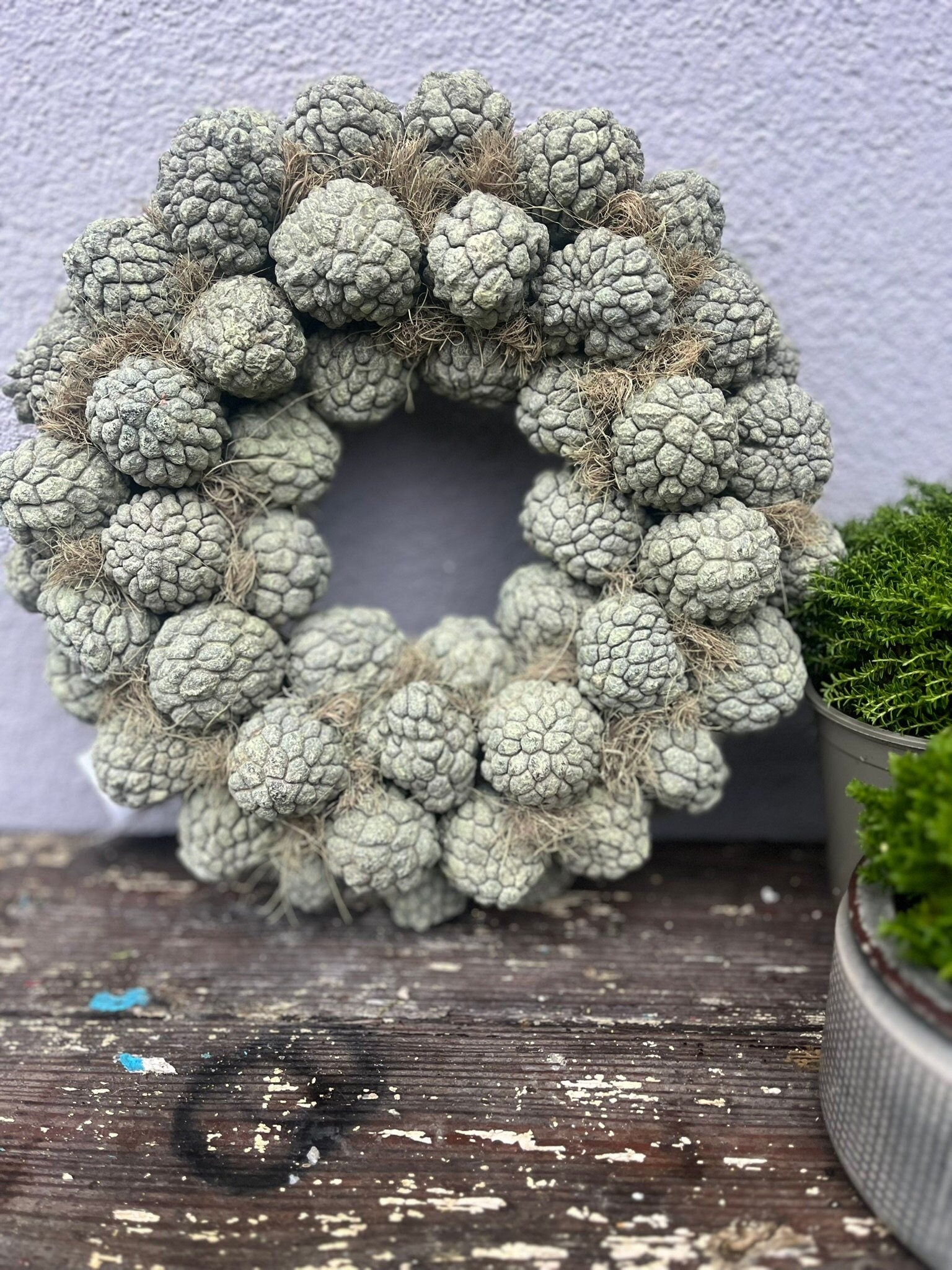 Natürlicher Dekokranz aus getrockneten Zuckerschoten • Boho Wanddeko • Trockenblumen Kranz • Nachhaltige, natürliche Home Decor