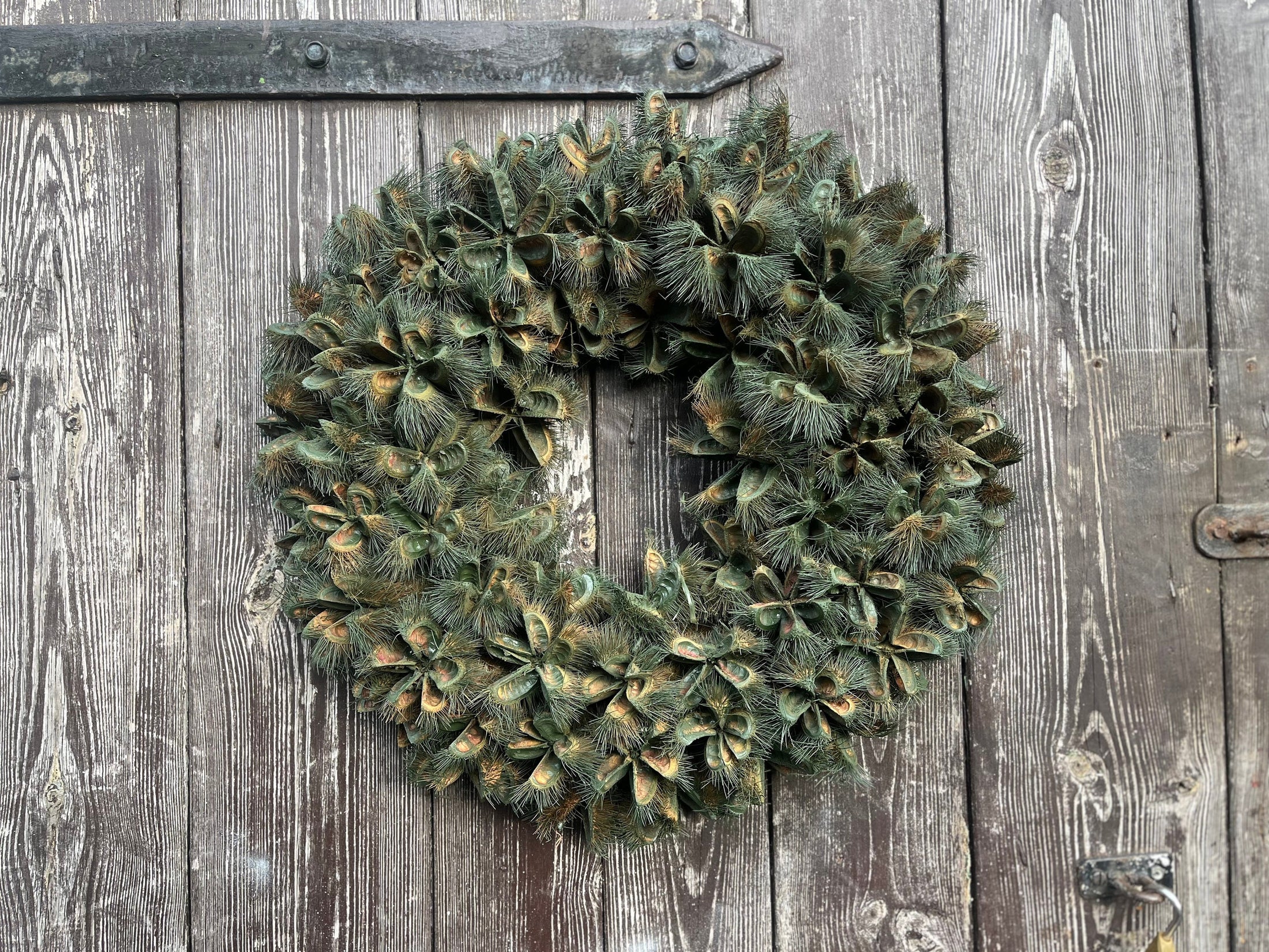 XL Wandkranz aus Esskastanienhüllen (55 cm Durchmesser, grün) Indoor & Outdoor