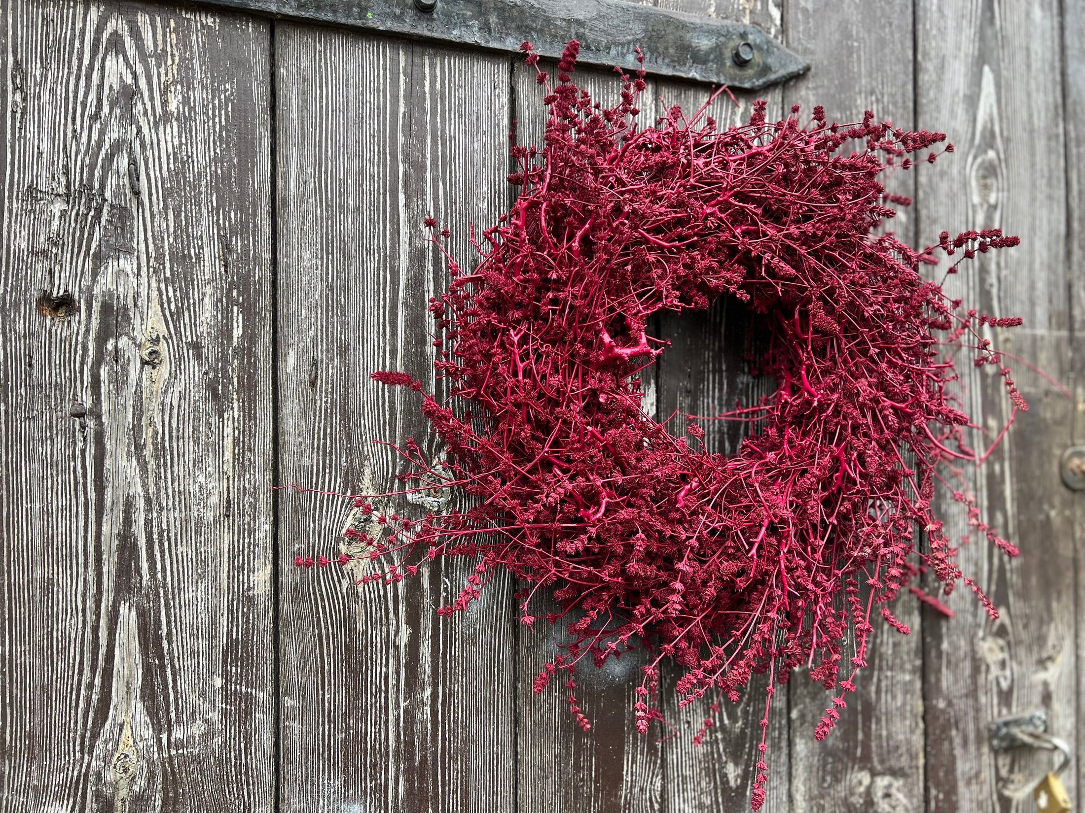 Lavendel Kranz in Deep Red, für Tür und Wand ca. 35 cm Durchmesser