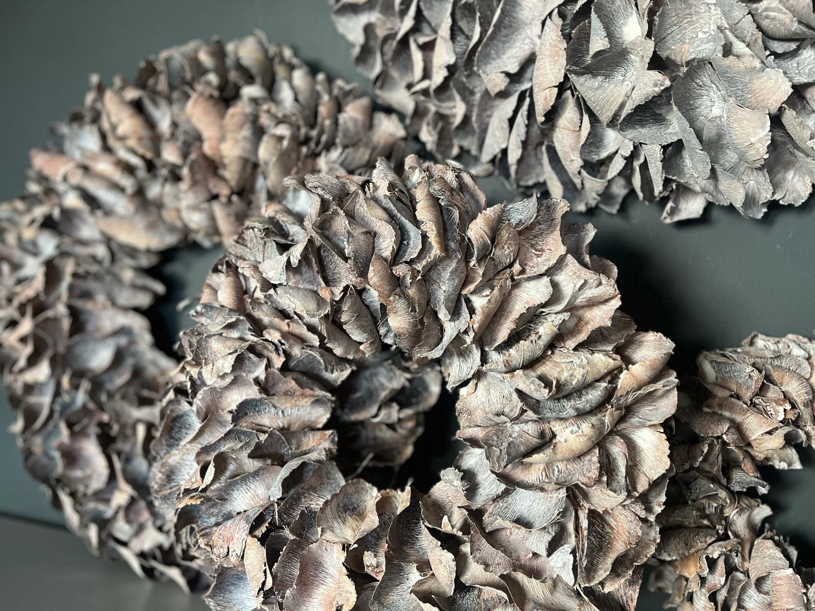 Türkranz Wandkranz Kranz Palmenblättern 25 cm, 40 cm, 55 cm und 65 cm Durchmesser, natur