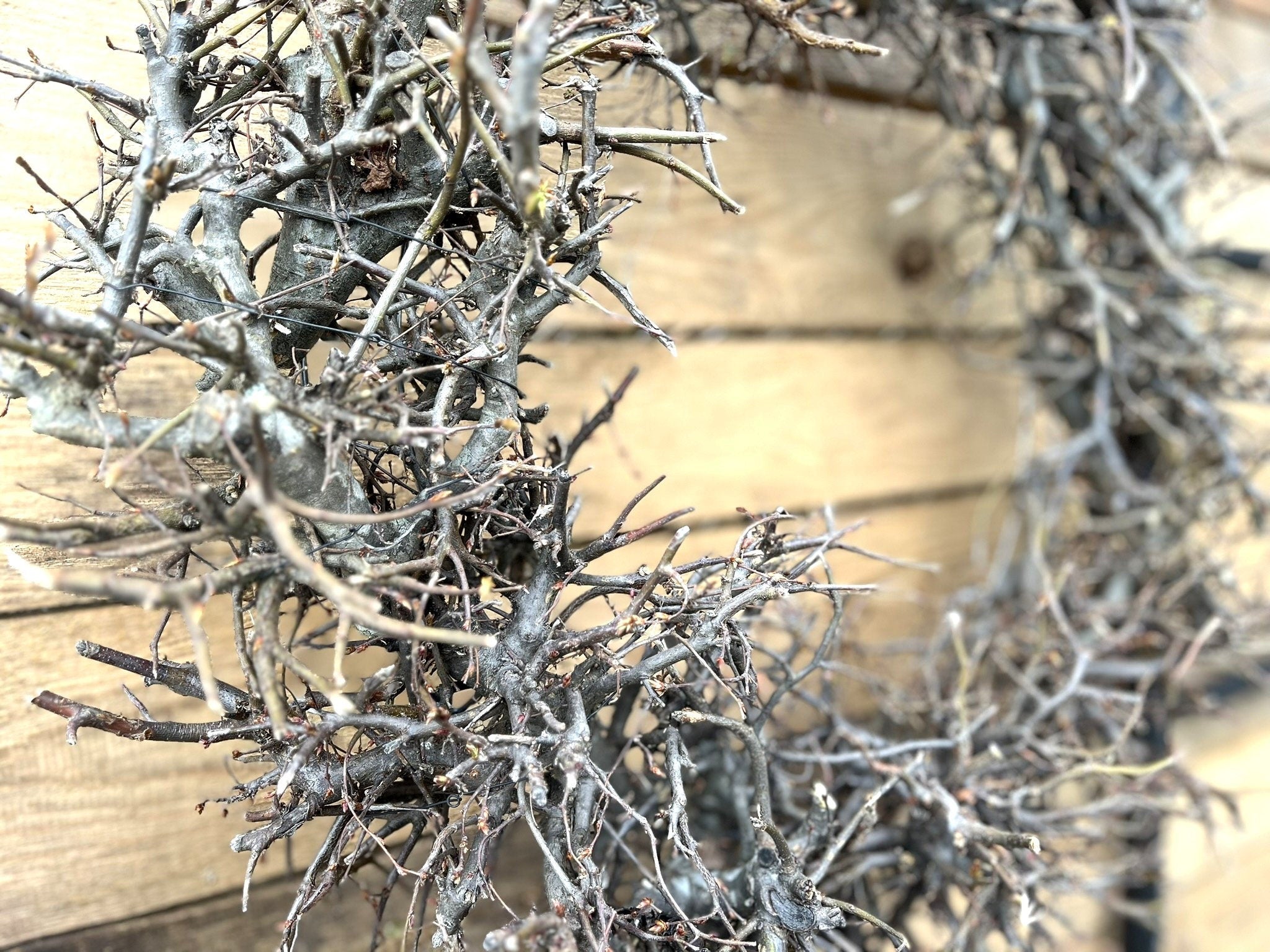 Vintage Bonsai-Kranz 60 cm, Kranz Türkranz Wandkranz