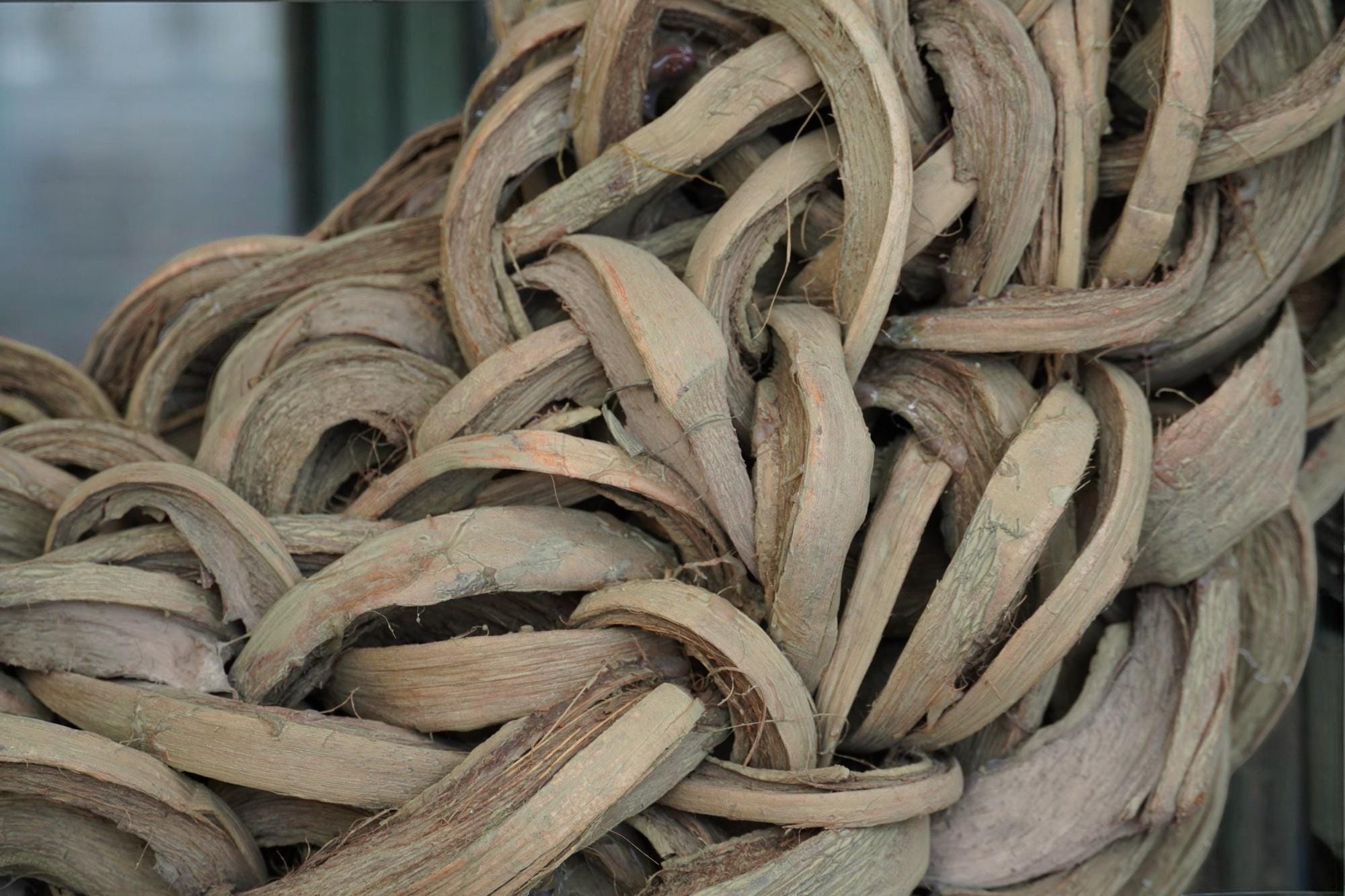 Türkranz Wandkranz Kranz Salbei Grün 55 Durchmesser, Praktische Aufhängung, Coco sliced