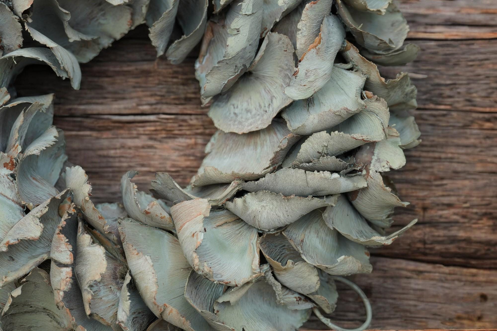 Türkranz Wandkranz Kranz Palmenblättern 25 cm in Salbeigrün