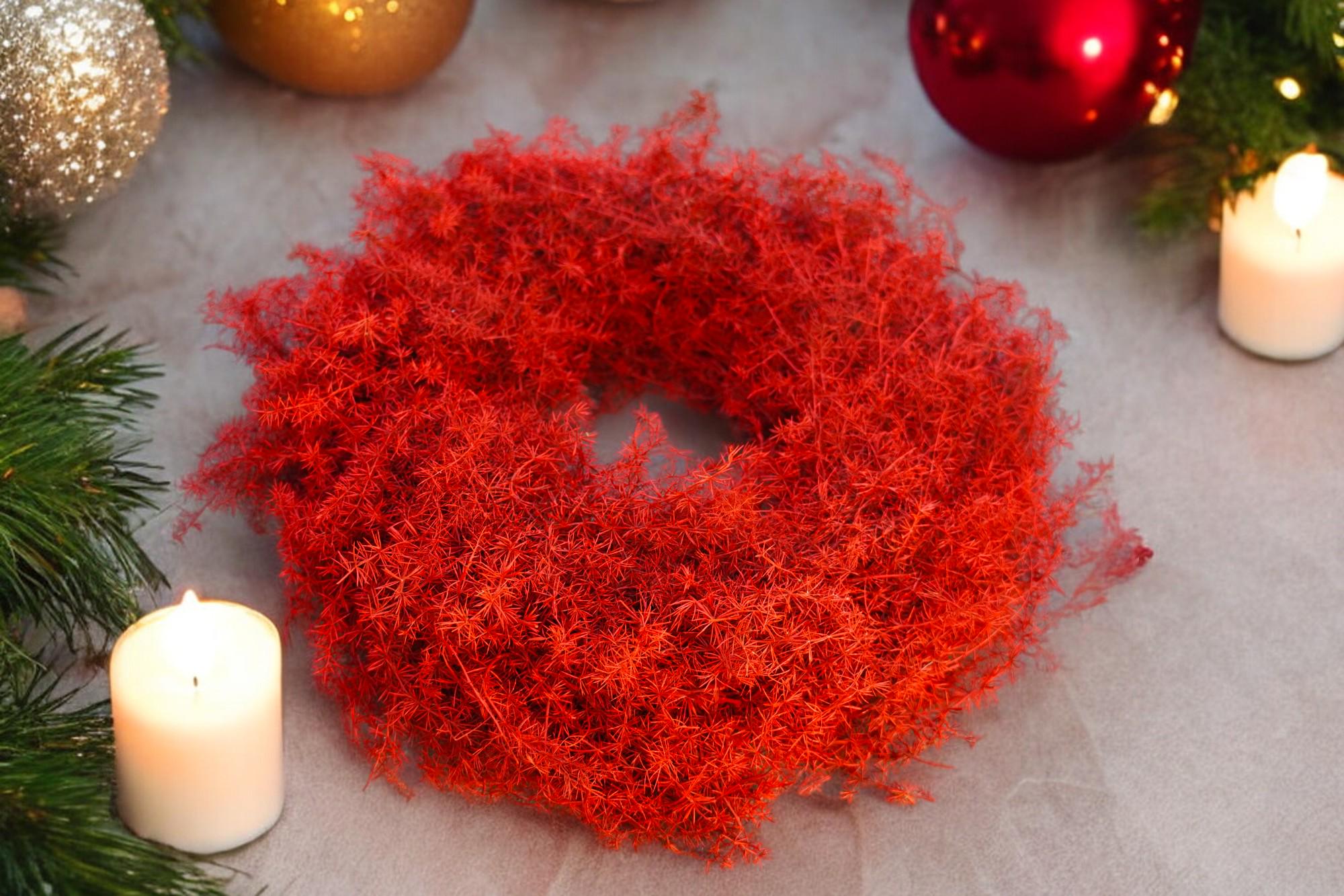 Eleganter Wandkranz / Türkranz, ROT Asparagus-Kranz 28 cm, 35 cm und oder 45 cm Durchmesser