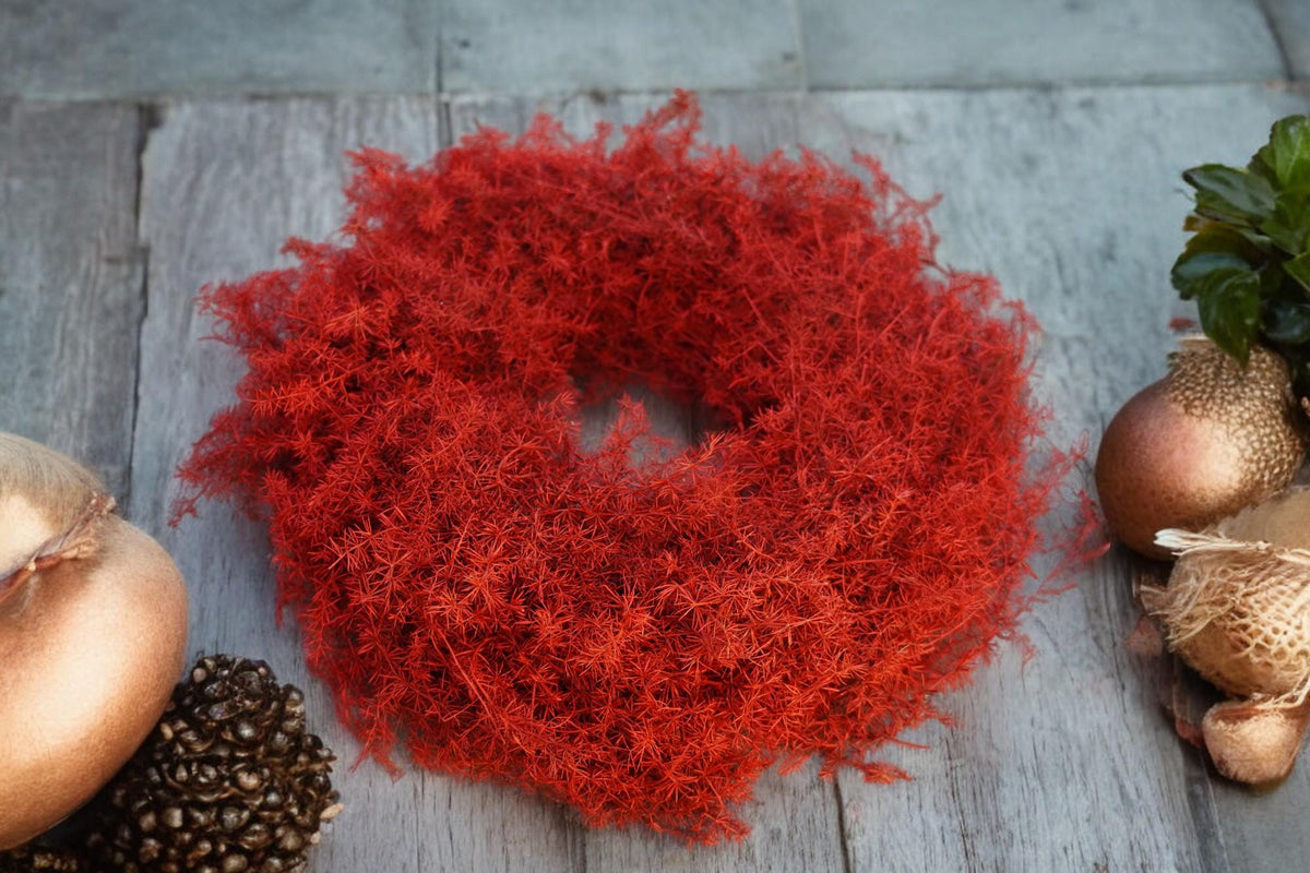 Eleganter Wandkranz / Türkranz, ROT Asparagus-Kranz 28 cm, 35 cm und o