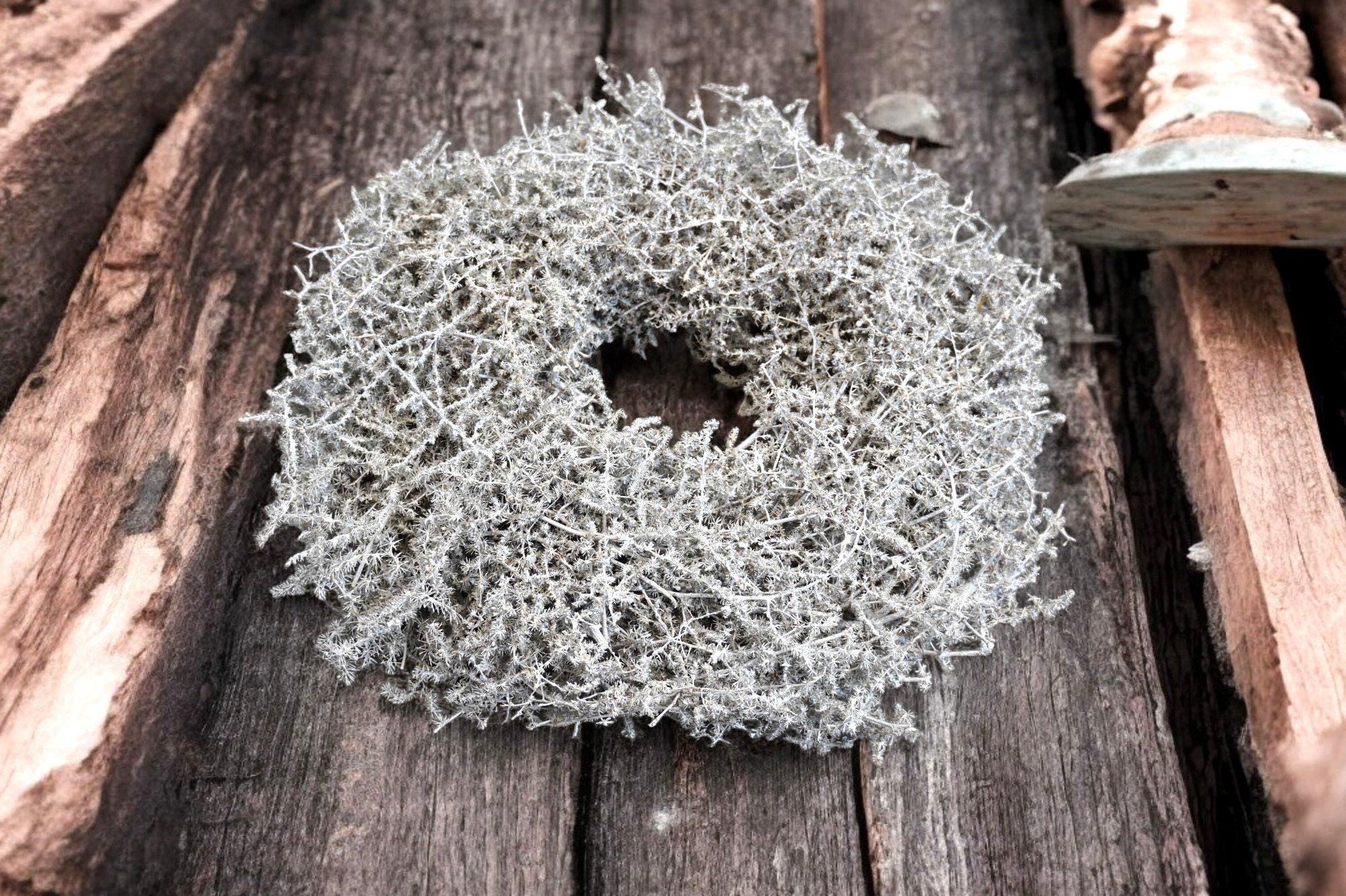 Eleganter weißer Asparaguskranz – handgefertigte Wanddekoration für Zuhause, Hochzeit, Frühling (28–60 cm)