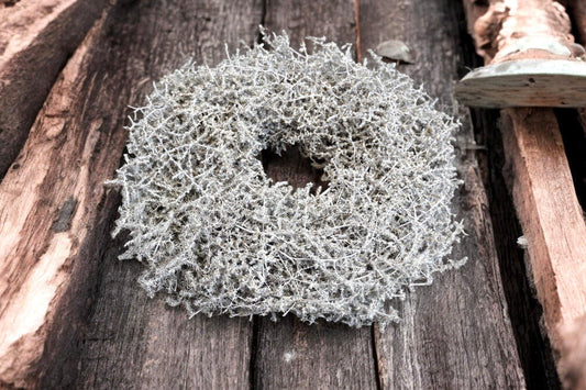 Eleganter weißer Asparaguskranz – handgefertigte Wanddekoration für Zuhause, Hochzeit, Frühling (28–60 cm)