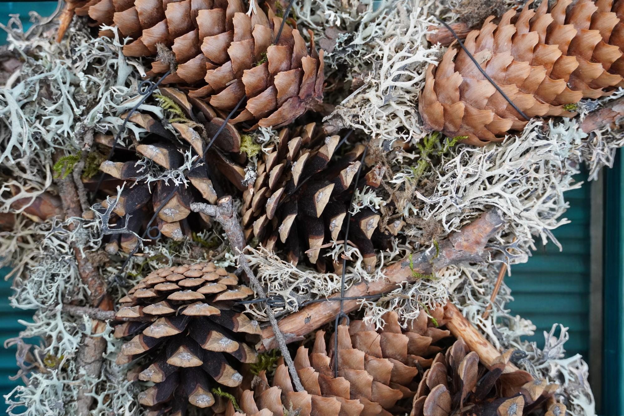 Wandkranz, Mooskranz, Stern, Sternkranz, Gartenkranz, Grabschmuck, Zapfenkranz ca. 38 cm